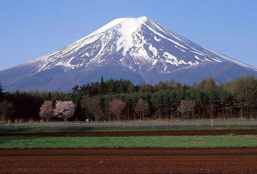 出国工作？日本短缺的行业及日本留学
